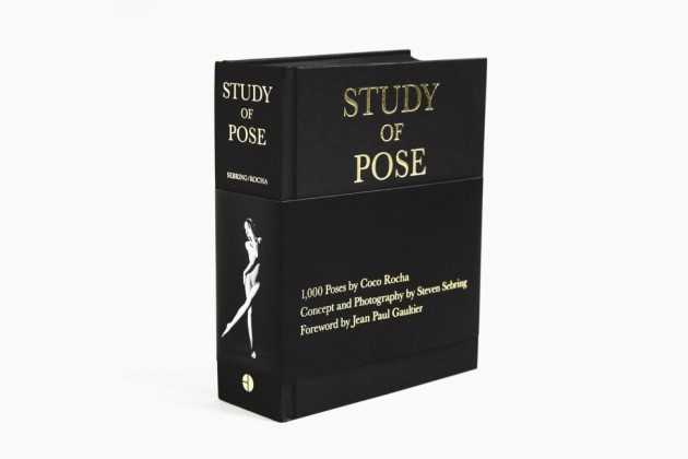 study_of_pose_1