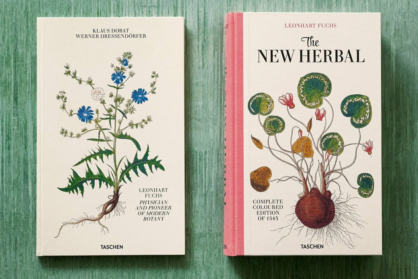 Taschen ha ripubblicato il “New Kreüterbuch” (Nuovo libro sulle erbe),  capolavoro di botanica del '500 - Frizzifrizzi